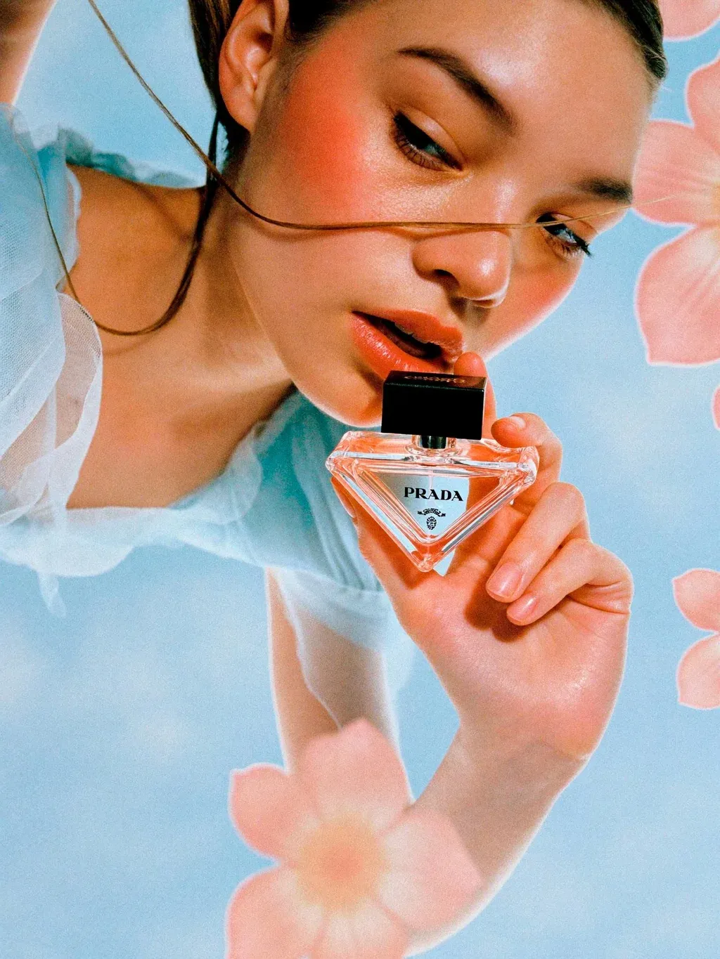Editorial beauty campaign photograph shot from directly above of a