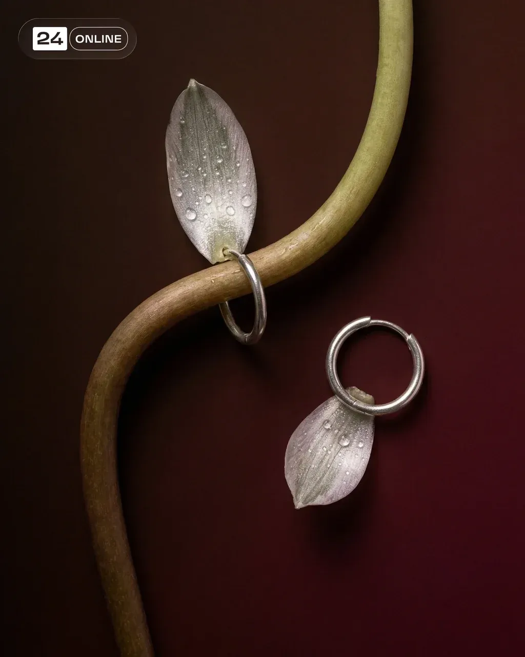 Editorial macro shot — a pair of elegant earrings interlocked