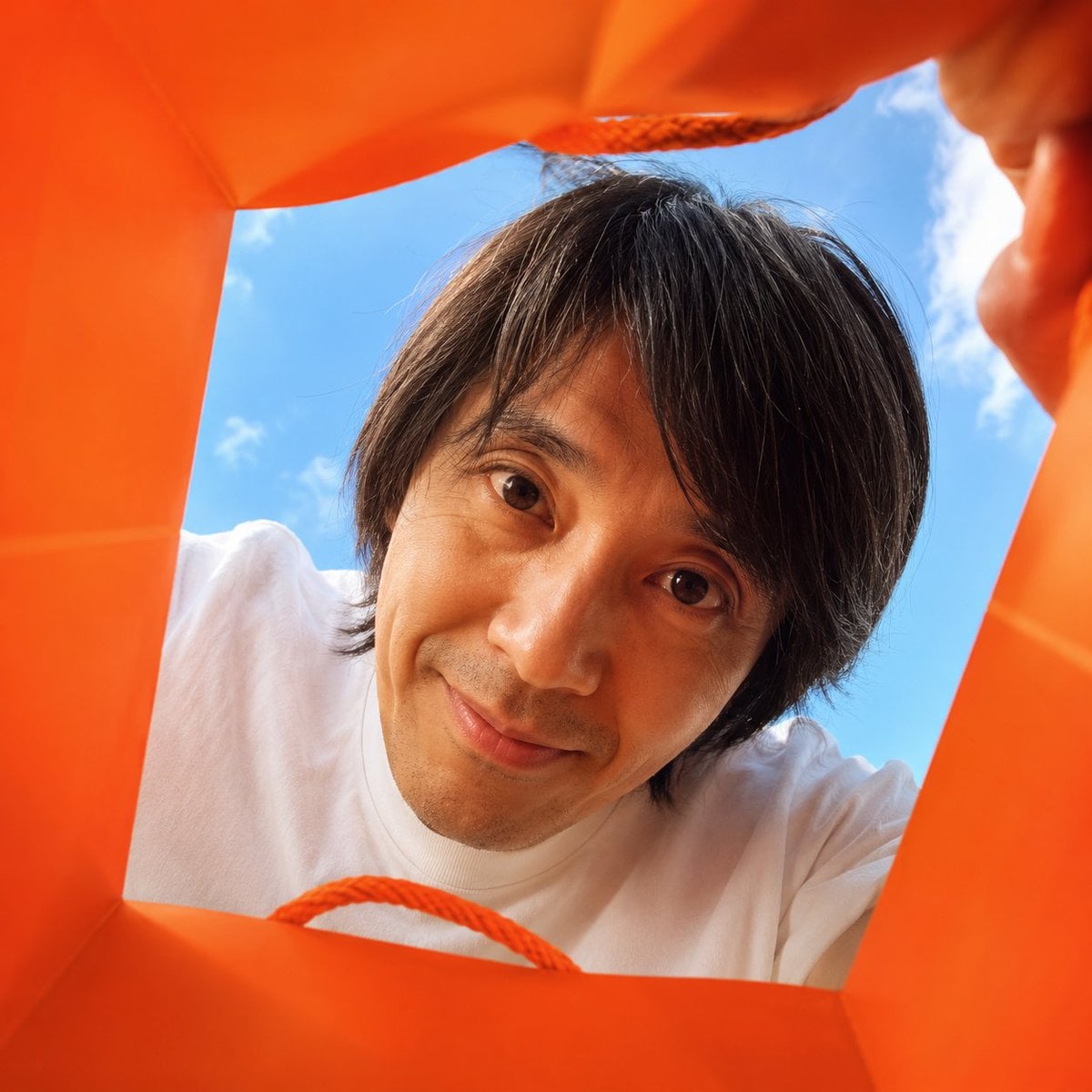 Create a vibrant, adorable, high-end advertising photo shot from inside a shopping bag, l…