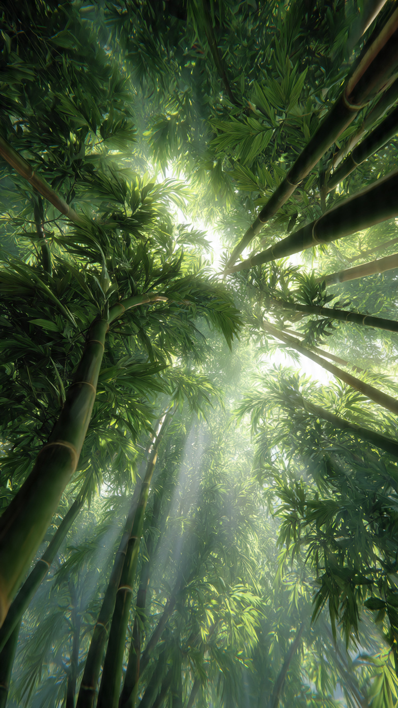 Majestic Canopy Radiance