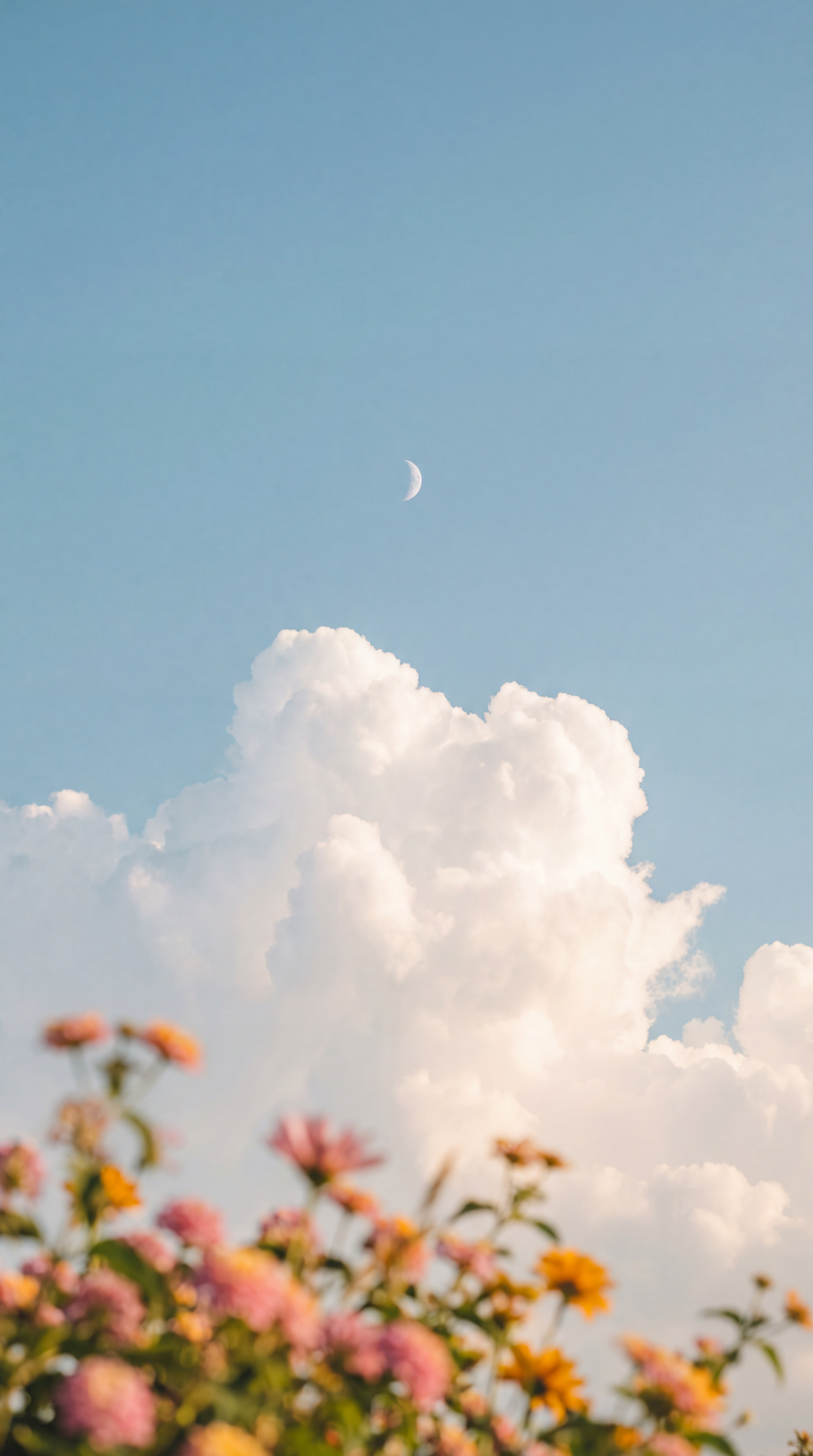Moonlight Beneath the Clouds image