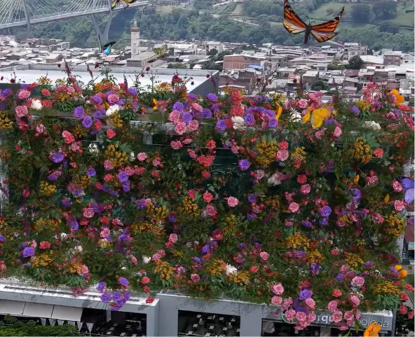 VFX / FOOH - Parque Arboleda 2